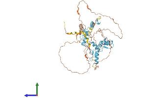 AlphaFold protein structure predicition of Mouse Recombinant Fezf1 Protein, UniprotID Q0VDQ9 (FEZF1 Protein (AA 1-475) (His tag))