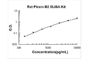 Typical Standard Curve