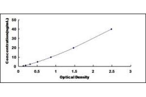 Typical standard curve (TLL1 ELISA Kit)