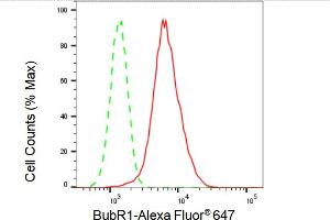 Flow cytometric analysis of BubR1 expression in HepG2 cells using BubR1 antibody (ABIN7797805), 1:2,000).
