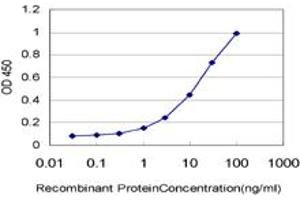 Detection limit for recombinant GST tagged CTNS is approximately 0. (CTNS antibody  (AA 1-100))