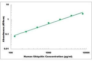 Representative Standard Curve (Ubiquitin ELISA Kit)