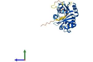 AlphaFold protein structure predicition of Mouse Recombinant Bcdin3d Protein, UniprotID Q91YP1 (BCDIN3D Protein (AA 1-285) (His tag))