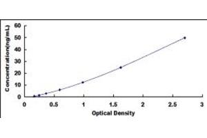 Carboxypeptidase A2 ELISA Kit