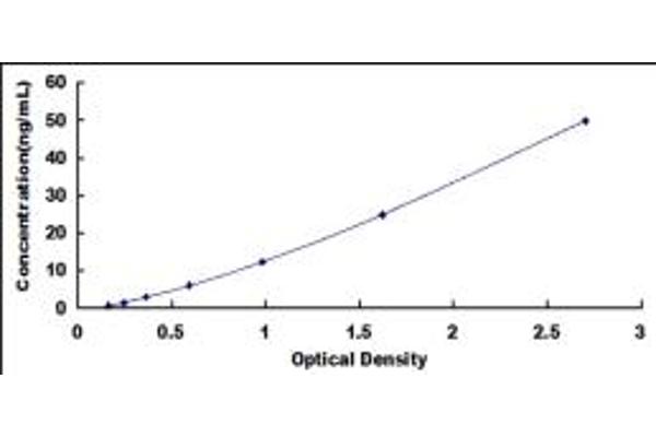 Carboxypeptidase A2 ELISA Kit