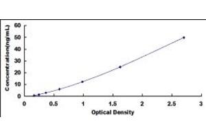 Typical standard curve (Carboxypeptidase A2 ELISA Kit)
