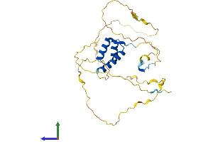AlphaFold protein structure predicition of Mouse Recombinant Hoxa4 Protein, UniprotID P06798