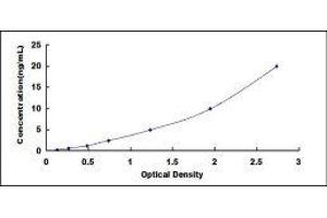 serine Peptidase Inhibitor, Kazal Type 5 (SPINK5) ELISA Kit