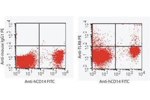 Image no. 2 for anti-Toll-Like Receptor 8 (TLR8) (AA 750-850) antibody (PE) (ABIN959905) (TLR8 antibody  (AA 750-850) (PE))