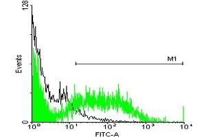 FACS analysis of TOV-21G cells stained with STIP1 monoclonal antibody clone 2E1 (Green) and non-stained TOV-21G cells (Black) as negative control. (STIP1 antibody  (AA 1-543))