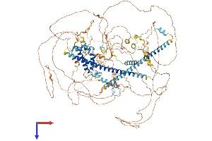 Family with Sequence Similarity 193, Member A (FAM193A) (AA 1-1265) protein (His tag)