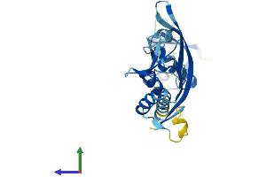 AlphaFold protein structure predicition of Mouse Recombinant Kctd21 Protein, UniprotID Q3URF8 (KCTD21 Protein (AA 1-260) (His tag))