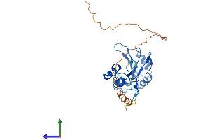 AlphaFold protein structure predicition of Human Recombinant SNRNP35 Protein, UniprotID Q16560 (SNRNP35 Protein (AA 1-246) (His tag))