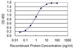 Detection limit for recombinant GST tagged LETM1 is 0. (LETM1 antibody  (AA 601-708))