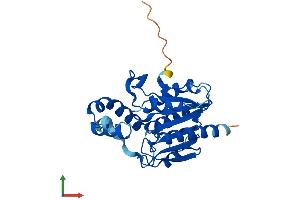AlphaFold protein structure predicition of Human Recombinant OLAH Protein, UniprotID Q9NV23