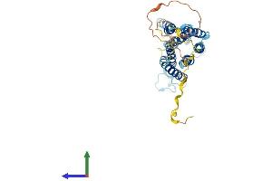 AlphaFold protein structure predicition of Human Recombinant GPRC5A Protein, UniprotID Q8NFJ5