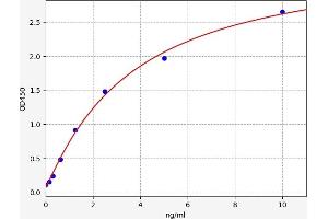 GRB10 ELISA Kit