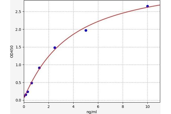 GRB10 ELISA Kit