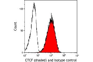 Flow Cytometry (FACS) image for anti-CCCTC-Binding Factor (Zinc Finger Protein) (CTCF) (AA 650-700) antibody (ABIN7453967)