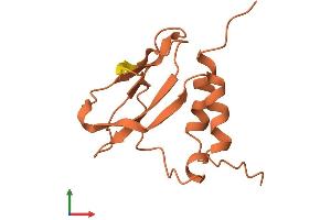 AlphaFold protein structure predicition of Human Recombinant LINC00518 Protein, UniprotID Q8N0U6 (C6orf218 Protein (AA 1-118) (His tag))