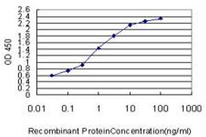 Detection limit for recombinant GST tagged SLIT3 is approximately 0. (SLIT3 antibody  (AA 1371-1470))