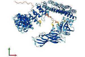 AlphaFold protein structure predicition of Mouse Recombinant Copg2 Protein, UniprotID Q9QXK3 (COPG2 Protein (AA 1-871) (His tag))