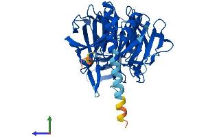 AlphaFold protein structure predicition of Human Recombinant KLHDC1 Protein, UniprotID Q8N7A1 (KLHDC1 Protein (AA 1-406) (His tag))