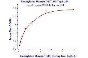 Immobilized Human CD155, Fc Tag  with a linear range of 0. (Poliovirus Receptor Protein (PVR) (AA 21-343) (Fc Tag))