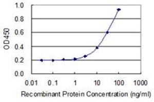 Detection limit for recombinant GST tagged C5AR1 is 1 ng/ml as a capture antibody. (C5AR1 antibody  (AA 1-350))