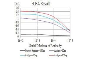 Black line: Control Antigen (100 ng),Purple line: Antigen (10 ng), Blue line: Antigen (50 ng), Red line:Antigen (100 ng) (CD1b antibody  (AA 18-303))