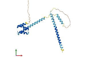 AlphaFold protein structure predicition of Human Recombinant CCDC43 Protein, UniprotID Q96MW1 (CCDC43 Protein (AA 1-224) (His tag))