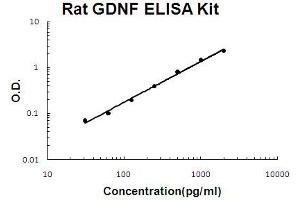 Rat GDNF Accusignal ELISA Kit Rat GDNF AccuSignal ELISA Kit standard curve. (GDNF ELISA Kit)