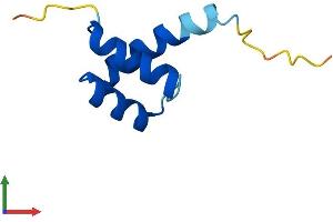 Protein Structure (PS) image for HOP Homeobox (HOPX) (AA 1-73) protein (Fc Tag) (ABIN7548389)