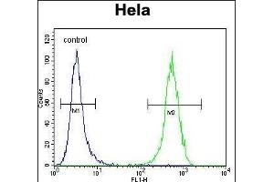 WFDC1 Antibody (C-term ) (ABIN656404 and ABIN2845698) flow cytometric analysis of Hela cells (right histogram) compared to a negative control cell (left histogram). (WFDC1 antibody  (C-Term))