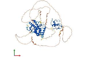 Protein Structure (PS) image for Nuclear Receptor Subfamily 4, Group A, Member 3 (NR4A3) (AA 1-626) protein (His tag) (ABIN7554805)