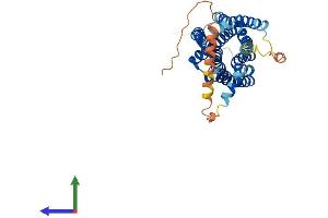 AlphaFold protein structure predicition of Mouse Recombinant Trhr Protein, UniprotID P21761 (TRHR Protein (AA 1-393) (His tag))