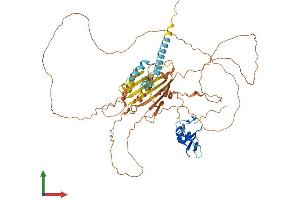 Protein Structure (PS) image for Ring Finger Protein, LIM Domain Interacting (RLIM) (AA 1-600) protein (His tag) (ABIN7565209)