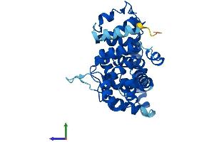 Protein Structure (PS) image for TBC1 Domain Family, Member 21 (TBC1D21) (AA 1-336) protein (His tag) (ABIN7544190)