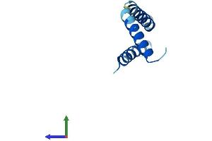 Protein Structure (PS) image for Dolichyl-Phosphate Mannosyltransferase Polypeptide 3 (DPM3) (AA 1-92) protein (His tag) (ABIN7547190)