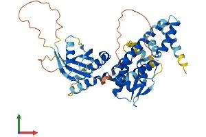 AlphaFold protein structure predicition of Human Recombinant C17orf75 Protein, UniprotID Q9HAS0