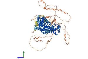 AlphaFold protein structure predicition of Human Recombinant ARHGEF19 Protein, UniprotID Q8IW93