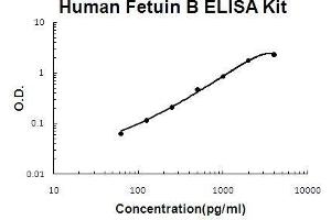 Human Fetuin B PicoKine ELISA Kit standard curve (FETUB ELISA Kit)