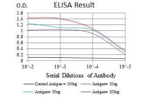 Black line: Control Antigen (100 ng), Purple line: Antigen(10 ng), Blue line: Antigen (50 ng), Red line: Antigen (100 ng), (FGF4 antibody  (AA 62-123))