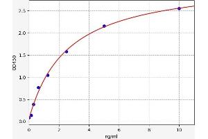Typical standard curve (SLC25A20 ELISA Kit)
