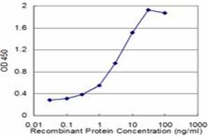 Detection limit for recombinant GST tagged HDAC4 is approximately 0. (HDAC4 antibody  (AA 551-648))