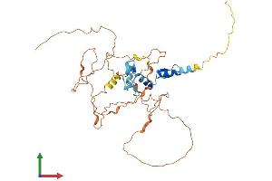 Protein Structure (PS) image for Early Growth Response 3 (EGR3) (AA 1-387) protein (His tag) (ABIN7547309)