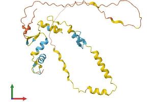 AlphaFold protein structure predicition of Human Recombinant SNAI1 Protein, UniprotID O95863 (SNAIL Protein (SNAI1) (AA 1-264) (His tag))