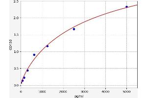 HDAC6 ELISA Kit