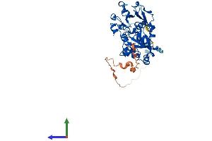 Protein Structure (PS) image for Fucosyltransferase 7 (Alpha (1,3) Fucosyltransferase) (FUT7) (AA 1-389) protein (His tag) (ABIN7556964)