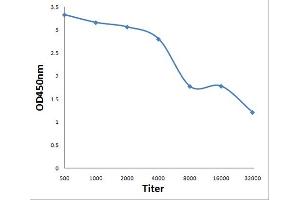 ELISA image for anti-Small Ubiquitin Related Modifier Protein 1 (SUMO1) (AA 98-158) antibody (ABIN1386813)